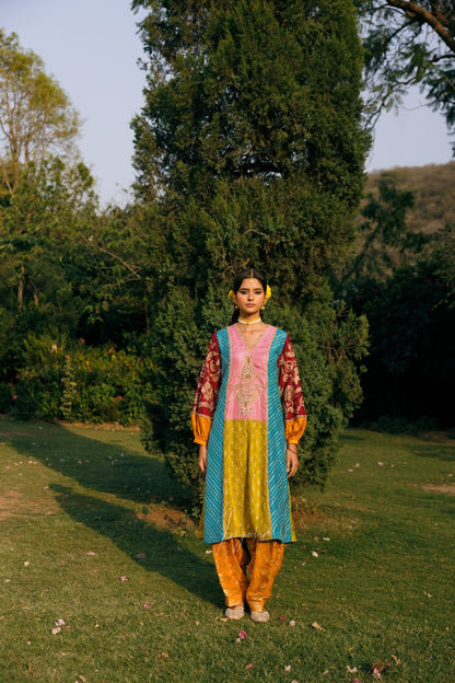 A woman stands outdoors on a grassy lawn in front of a tall dark green tree, wearing a colorful traditional outfit with a pink and yellow embroidered kurta, turquoise and yellow border, and orange-yellow pants.