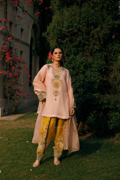 A woman stands outdoors on grass in front of a building and large green trees, wearing a light pink traditional outfit with ornate gold embroidery and a matching sheer draped overlay. The pants are mustard yellow with floral embroidery.