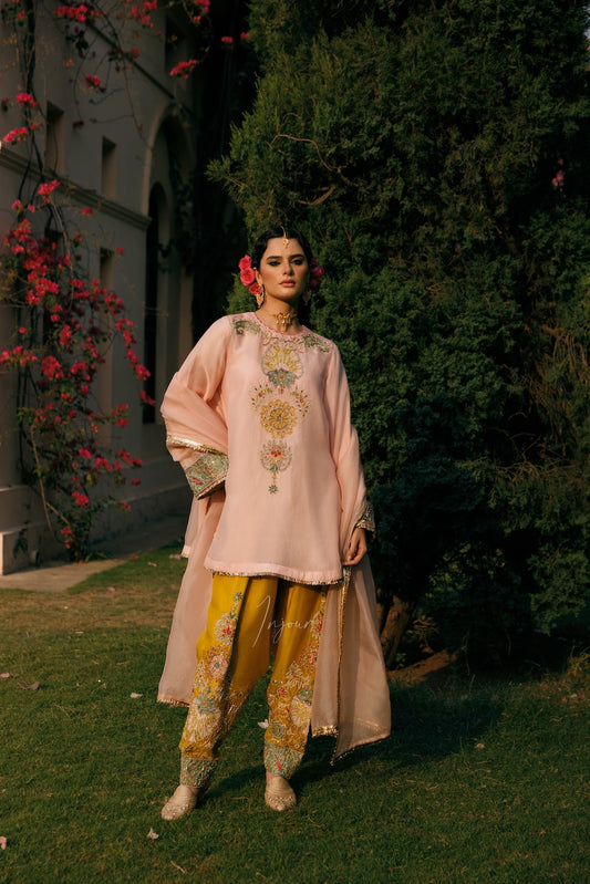 A woman stands outdoors on grass in front of a building and large green trees, wearing a light pink traditional outfit with ornate gold embroidery and a matching sheer draped overlay. The pants are mustard yellow with floral embroidery.