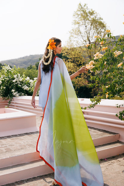 A woman stands on outdoor steps wearing a flowing semi-sheer sari with a white base and a bright lime green and pale blue gradient, accented with a red border. She is photographed from behind, reaching toward flowers.
