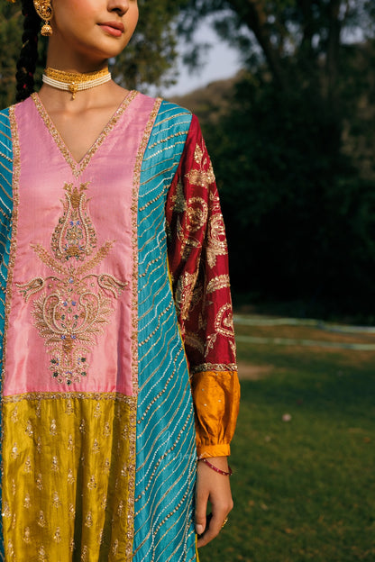 A woman outdoors wearing a traditional embroidered outfit with a pink embroidered bodice, a turquoise dupatta, and a red patterned sleeve with yellow cuffs, set against a blurred green park background.
